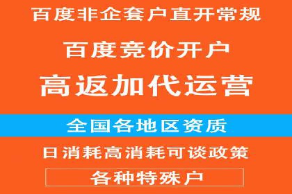 百度竞价包年推广策略：企业增长的新动力